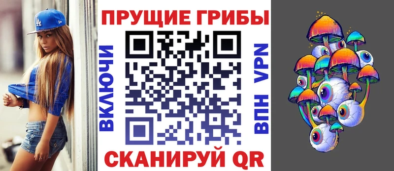 мега как зайти  купить   Чухлома  Псилоцибиновые грибы Cubensis 